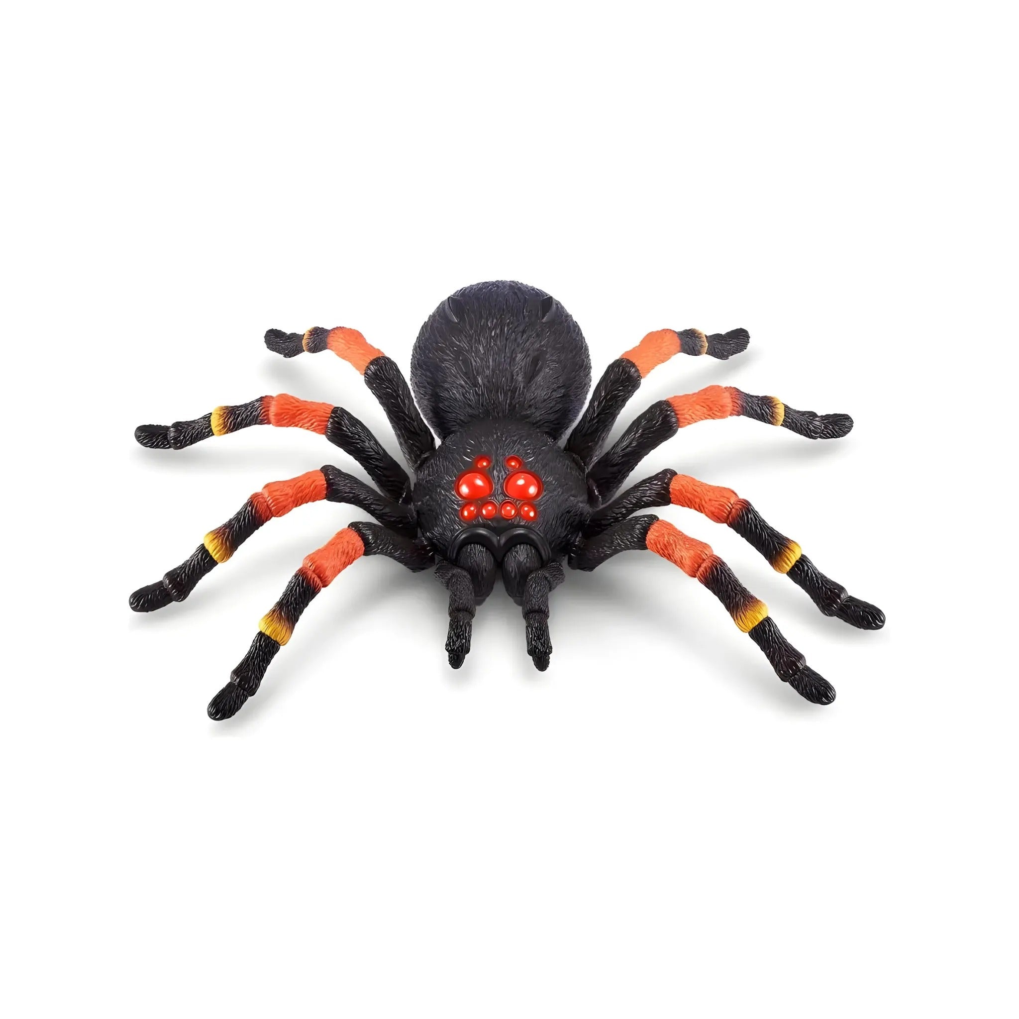 洋楽 Tarantula ZURU7170_1.jpg?crop=center&