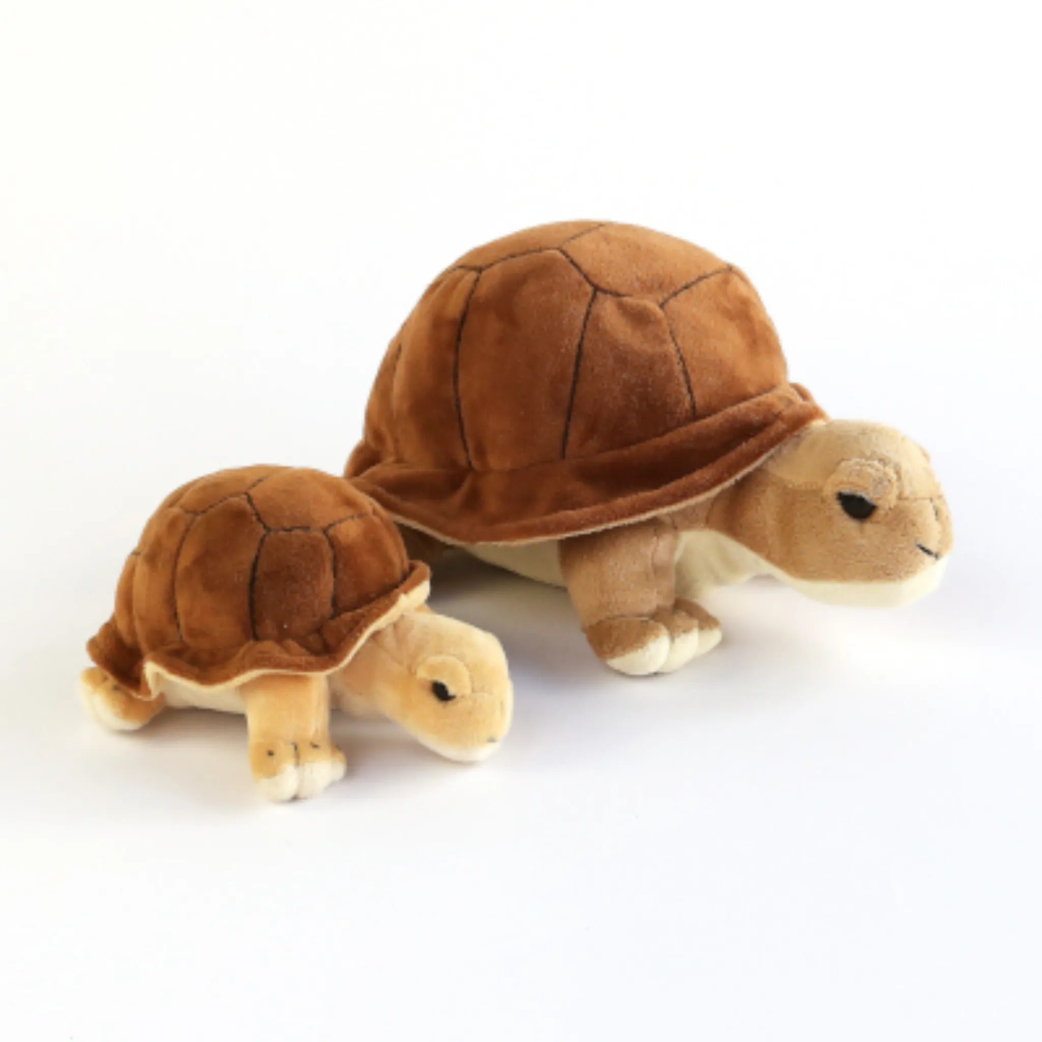 Tortoise Small 18cm 636252 – Toy Kingdom South Africa