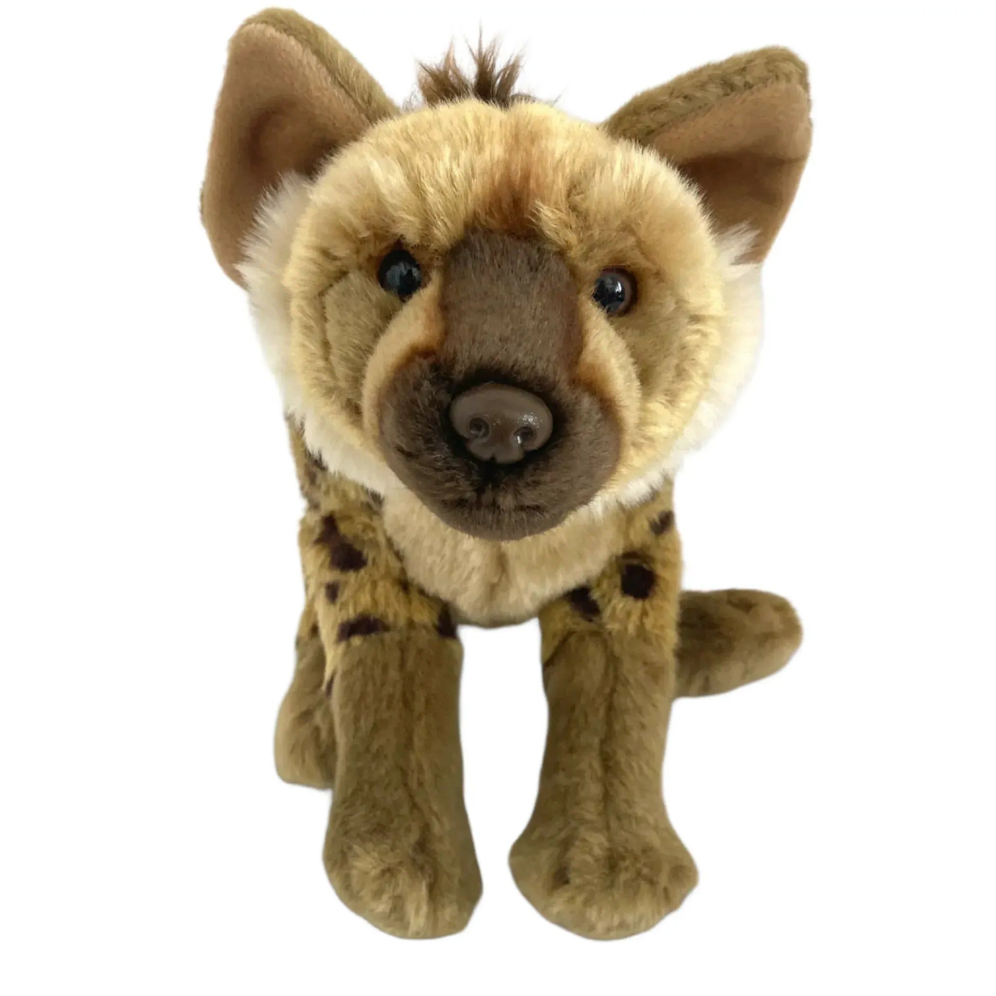 ジャパニーズ・ウェッサイ CD 6枚セット OZROSAURUS HYENA Yahoo!オークション - 「オジロザウルス cd」の落札相場・落札価格