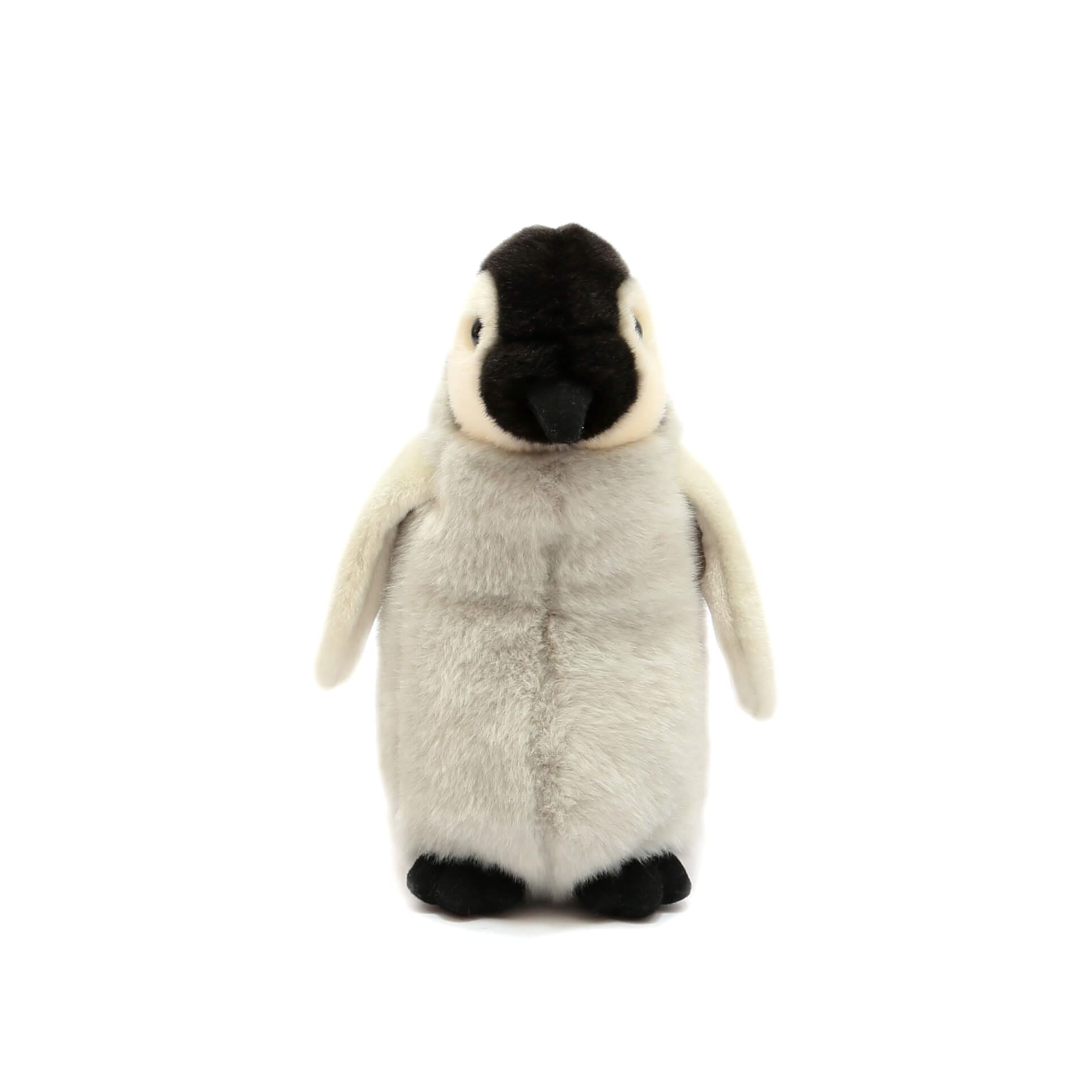 Born in Africa Penguin Plush 17cm – Toy Kingdom South Africa