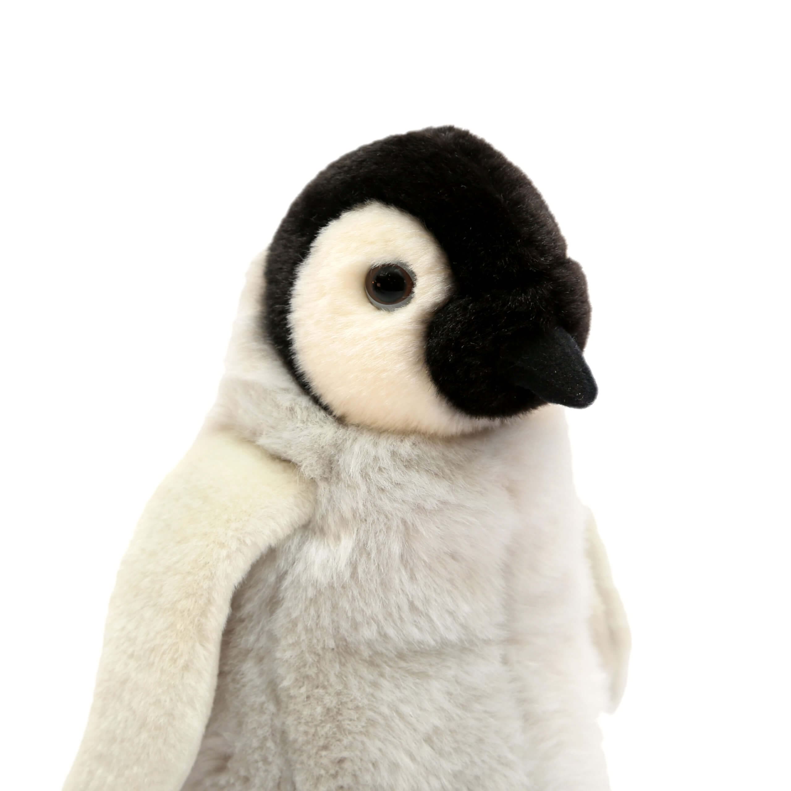 Born in Africa Penguin Plush 17cm – Toy Kingdom South Africa