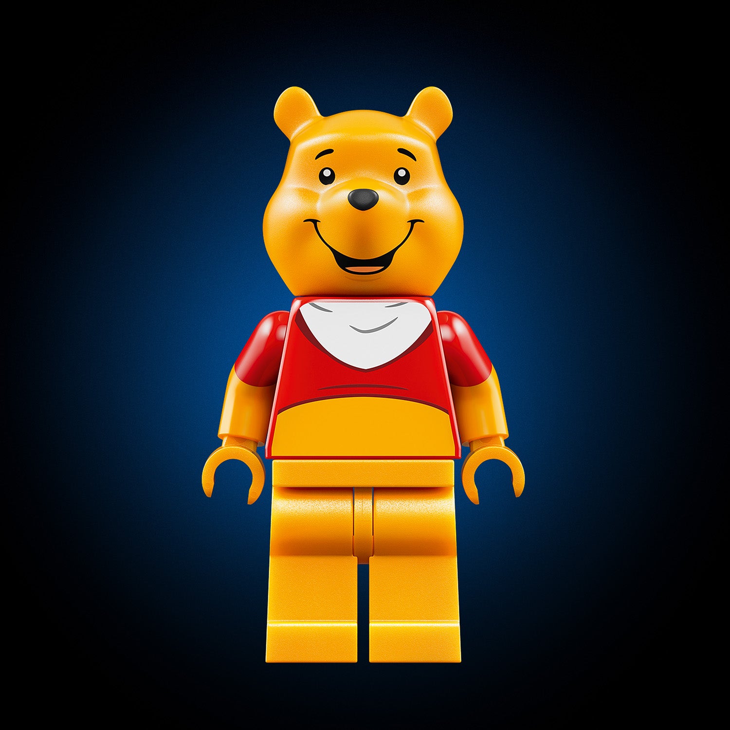 LEGO Winnie The Pooh – Toy Kingdom South Africa