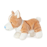 My Lue Nose Friend Plush Corgi