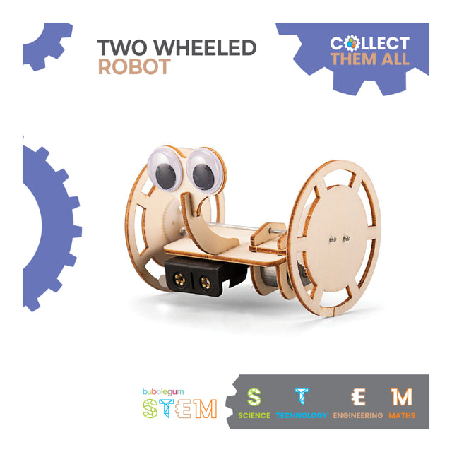 Two Wheeled Robot