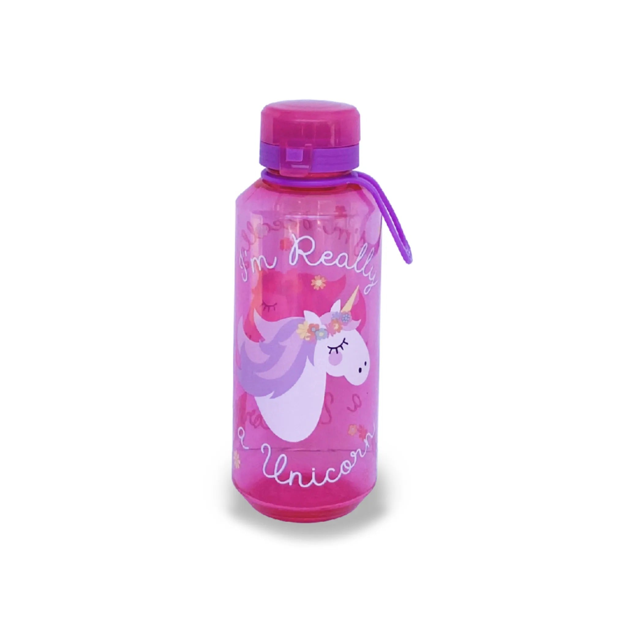 473ml Printed Absorb Bottle Assorted – Toy Kingdom South Africa