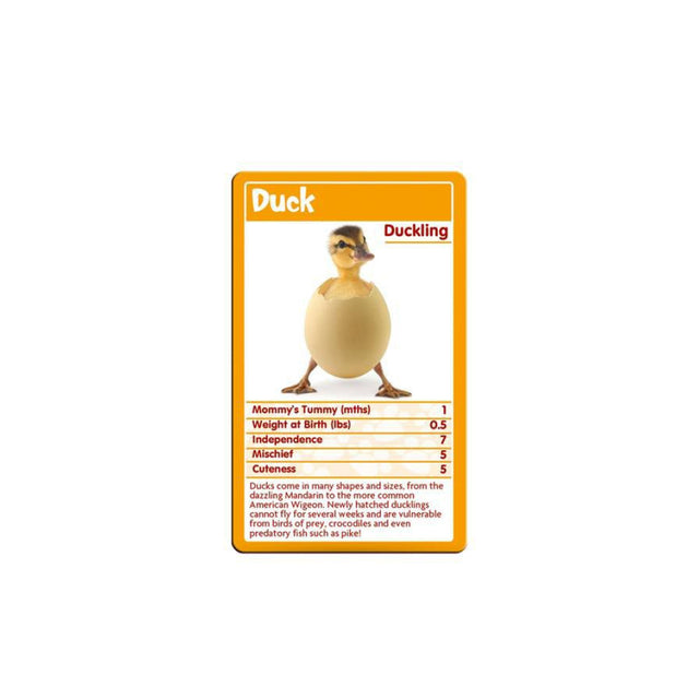 Top Trumps Baby Animals