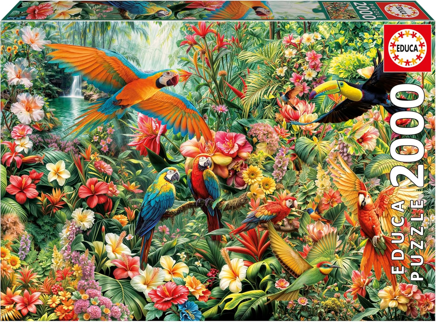Educa Amazon Birds Puzzle - (1X2000 Piece) – Toy Kingdom South Africa
