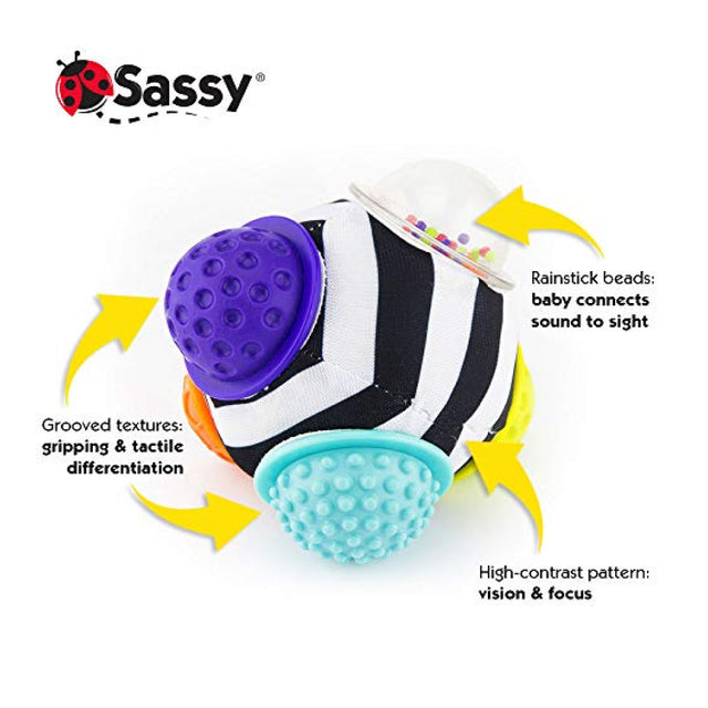 Sassy Chime And Chew Textured Ball