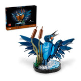 LEGO® Icons Kingfisher Bird 10331