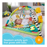 Fisherprice 3In1 Rainfores Sensory Gym