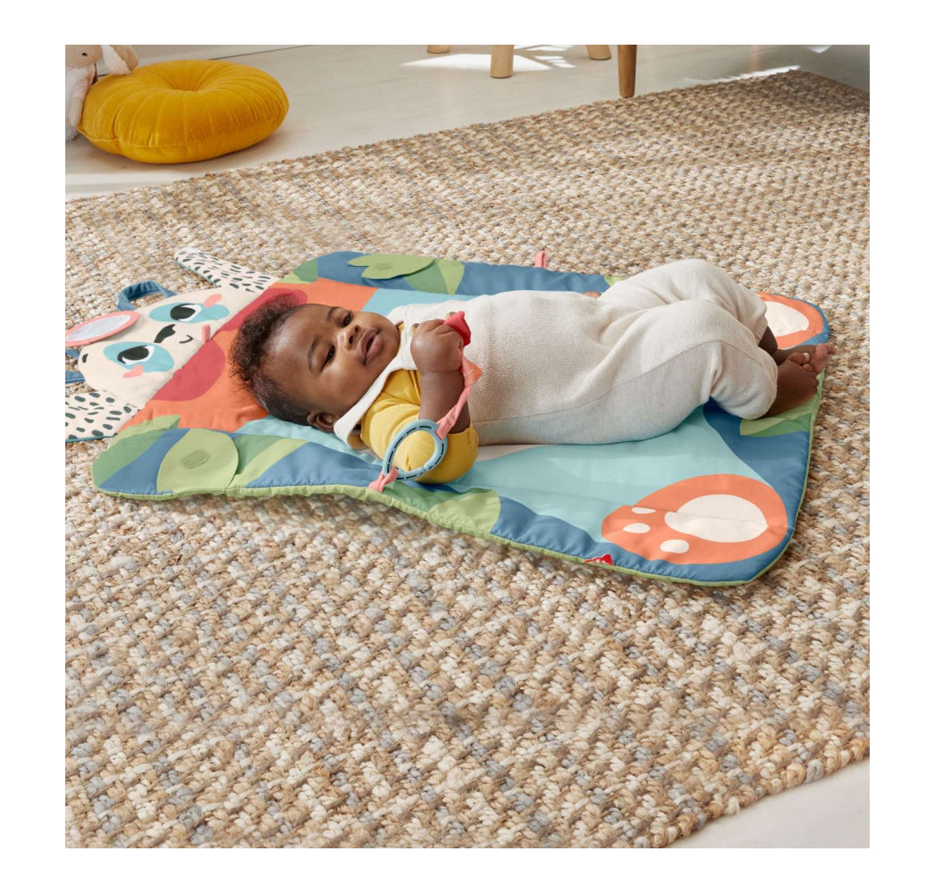 Tummy Time Panda Play Mat Fisher-Price Roly-Poly Panda Play Mat