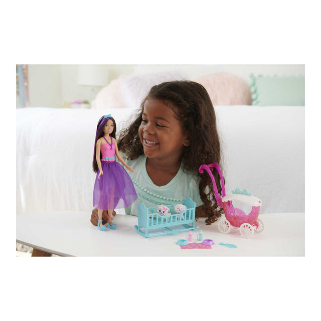 Barbie Skipper Doll Playset Dark Hair