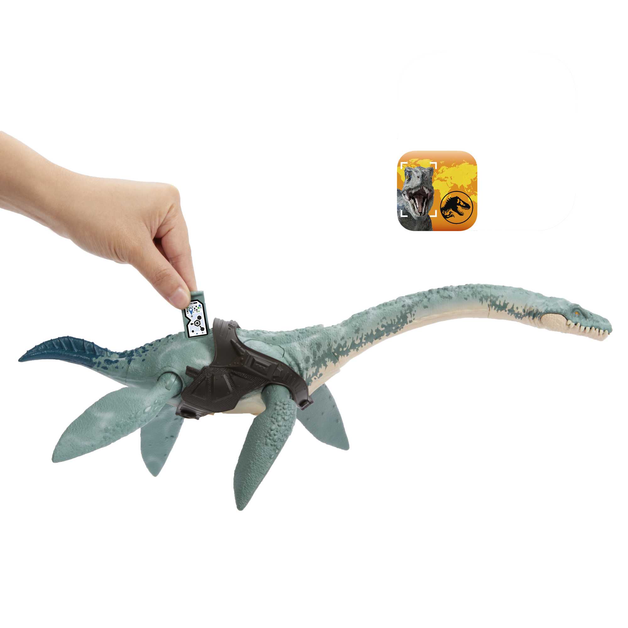 Berkovani eshakda siksin