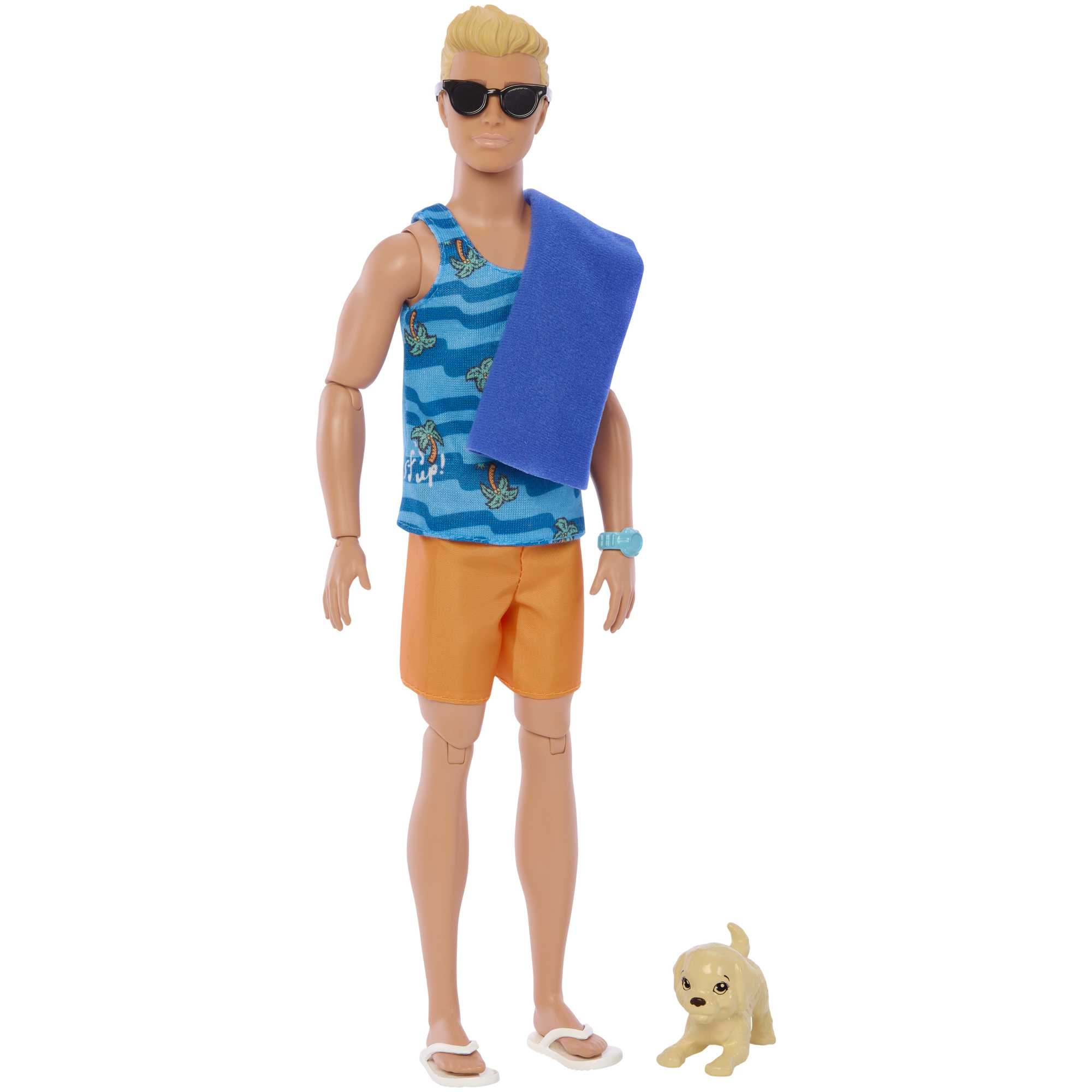 Barbie Ken Surf Doll and Accessories – Toy Kingdom South Africa