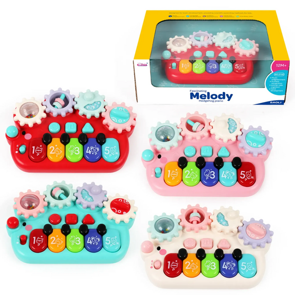 Assorted Hedgehog Melody Piano – Toy Kingdom South Africa