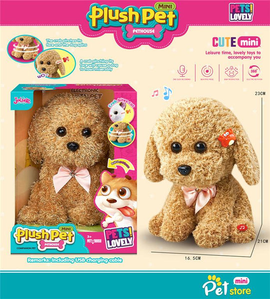 洋楽 SMOOTHE TEDDY B G-RAP TAPE Music Recording Spinning Teddy Dog – Toy Kingdom South Africa
