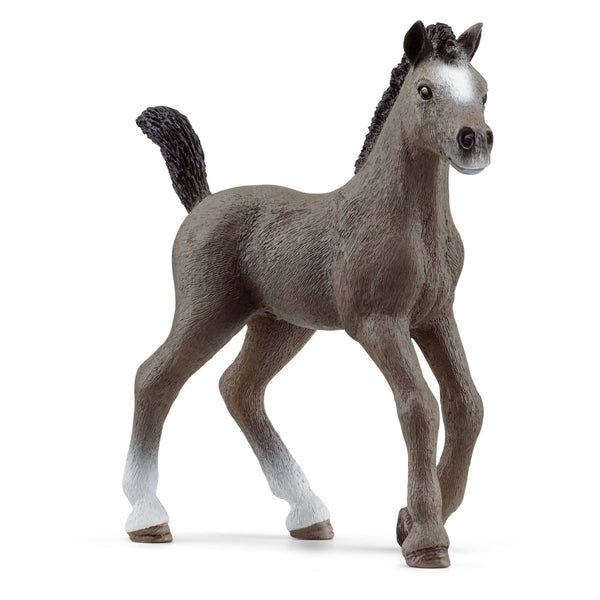 Horse Club - Selle Francais Foal (8.3cm Tall) – Toy Kingdom South