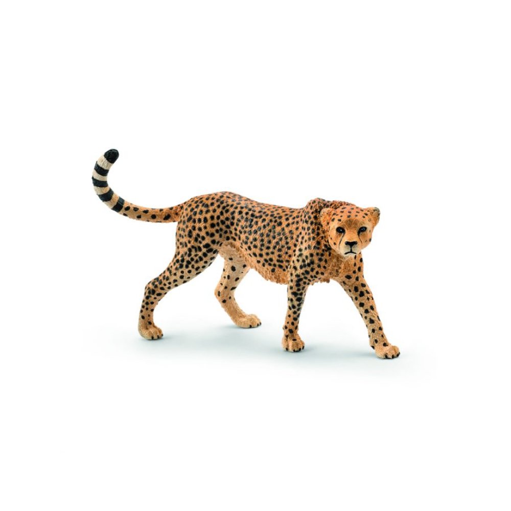 Schleich Wild Life Female Cheetah 61cm – Toy Kingdom South Africa