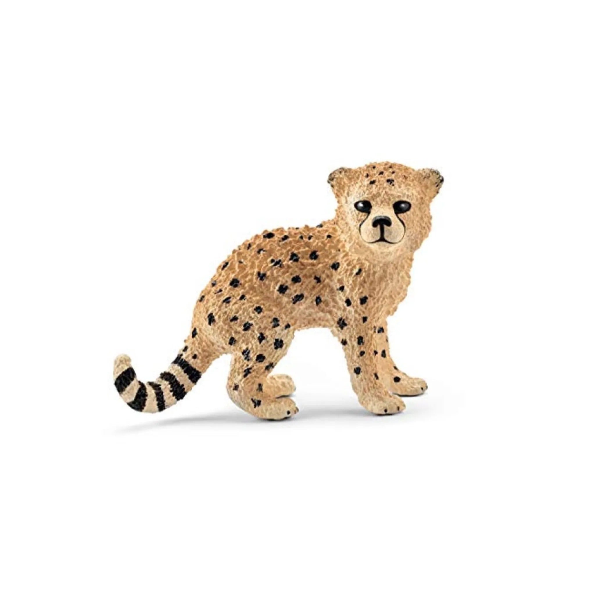 Schleich Wild Life Cheetah Cub – Toy Kingdom South Africa