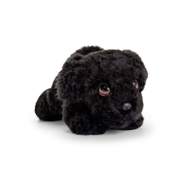 25Cm Signature Cuddle Puppy Black Cockapoo